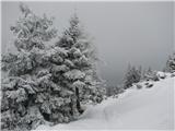 Sedlo Mokrine - planina Biffil 